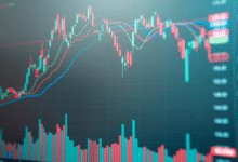 buy Lava International unlisted shares
