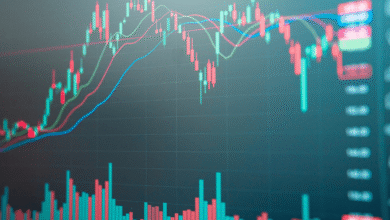 buy Lava International unlisted shares