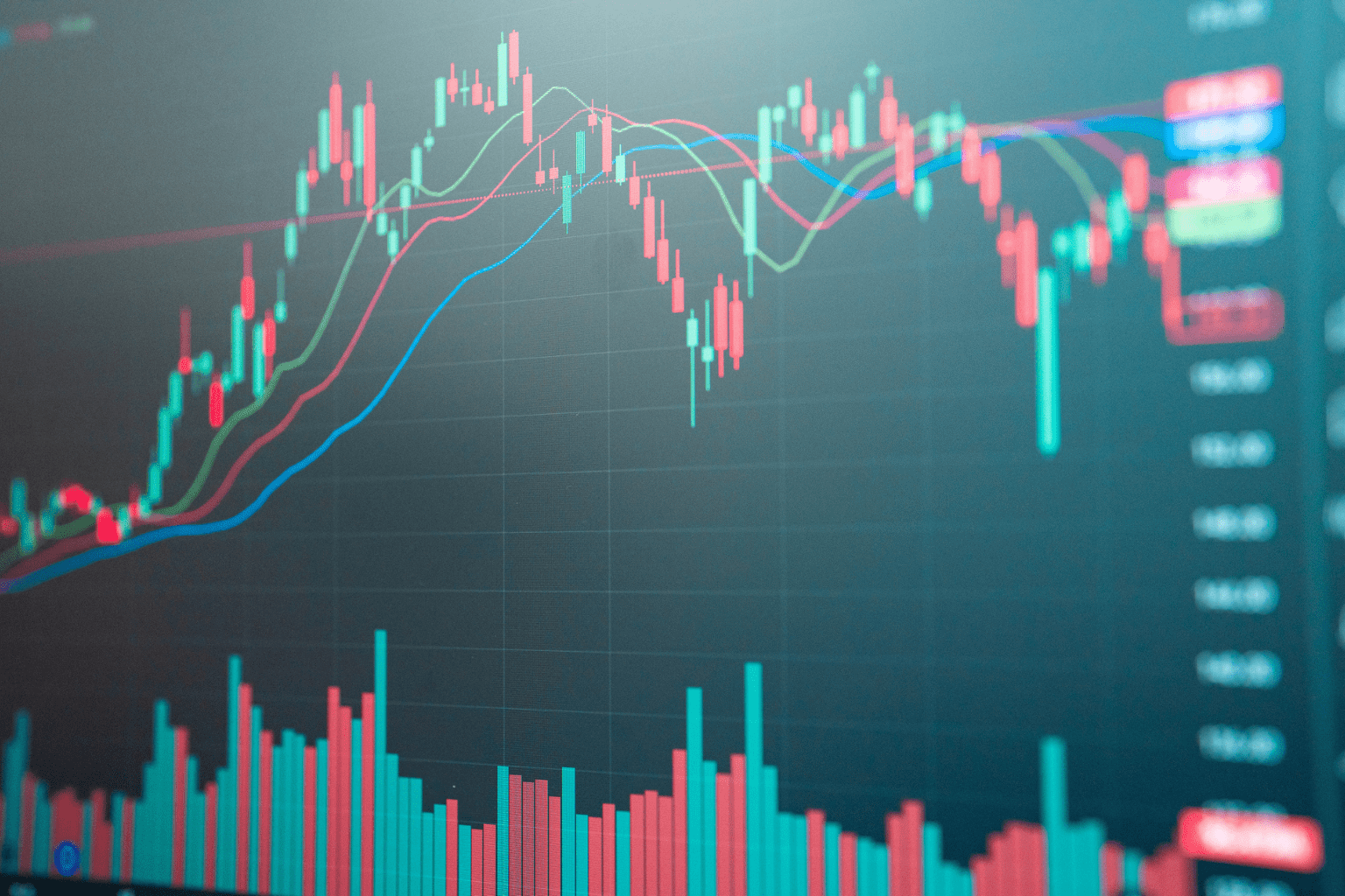 buy Lava International unlisted shares