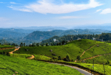 best places to visit in September in India during 2025