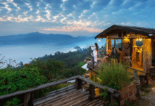tour packages from bangalore