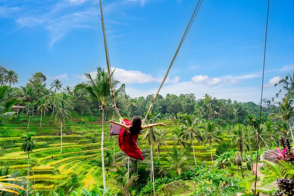 Doing Cameron Highlands on the Cheap